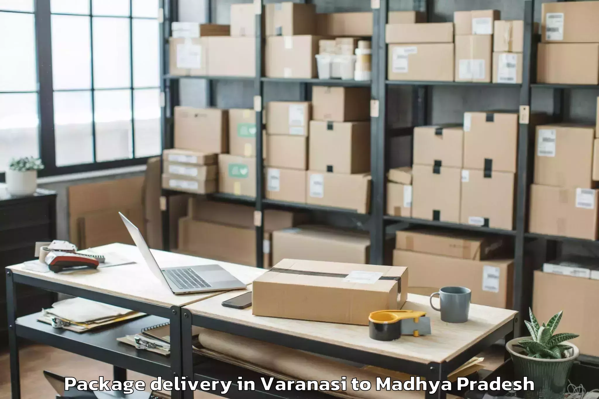 Trusted Varanasi to Mandsaur Package Delivery